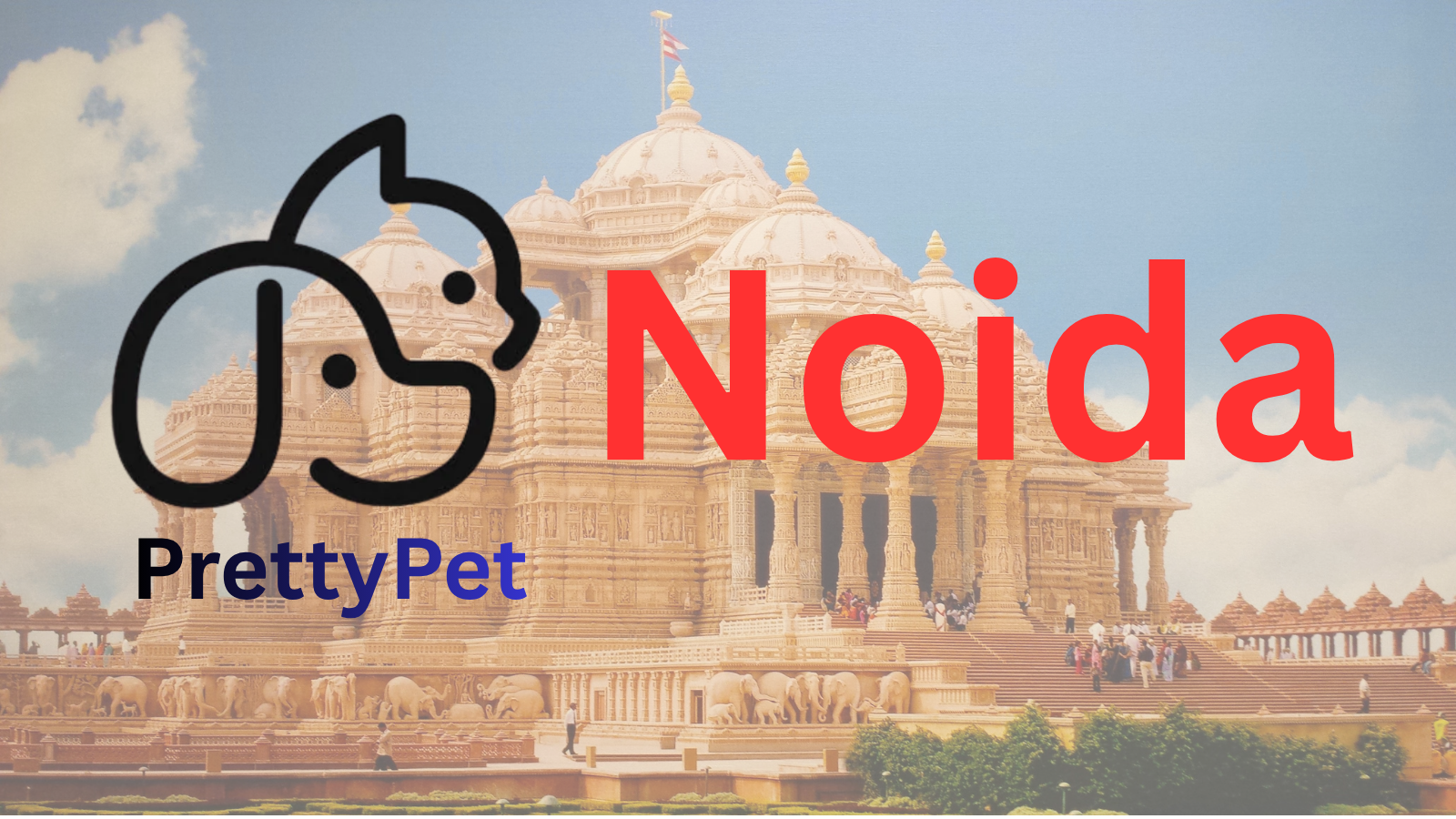 Pet care services in Noida