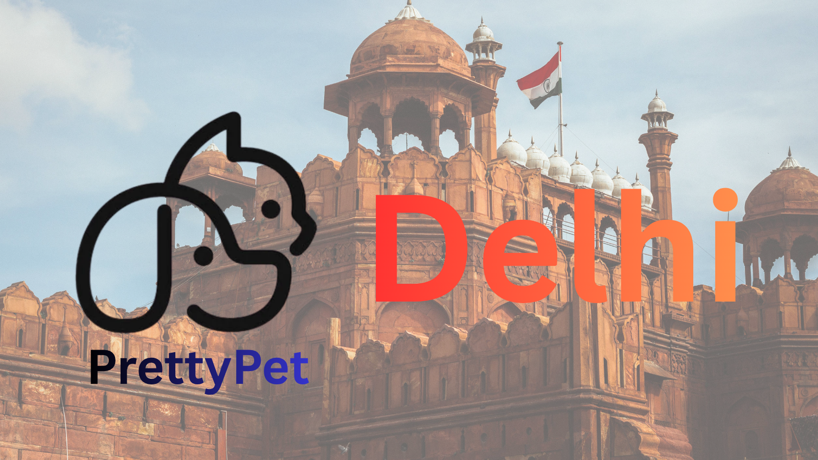 Pet care services in Delhi