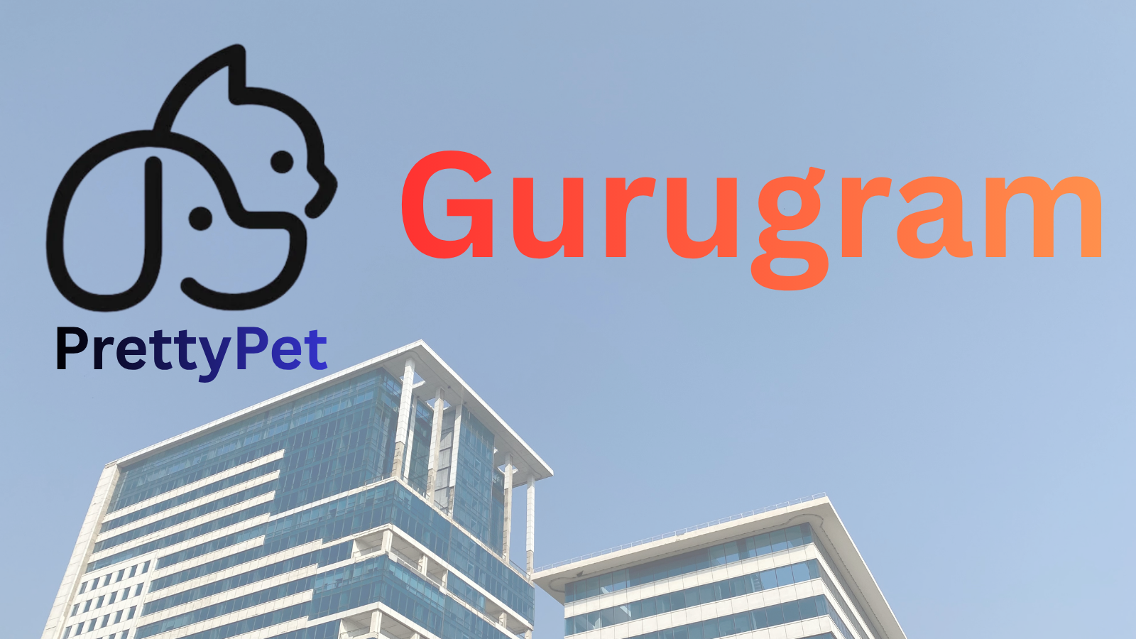 Pet care services in Gurugram